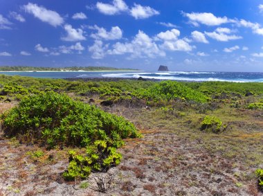 Mauritius. adanın taşlı peyzaj