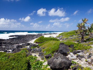 Mauritius. adanın taşlı peyzaj