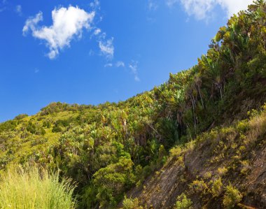 Mauritius Adası'nın peyzaj
