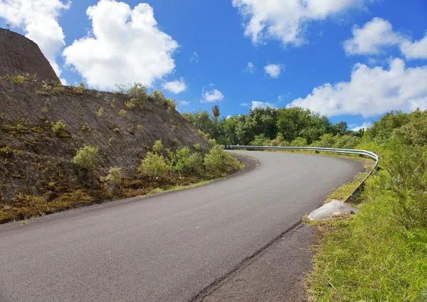 Mauritius. droga na wzgórze i tropikalne rośliny — Zdjęcie stockowe