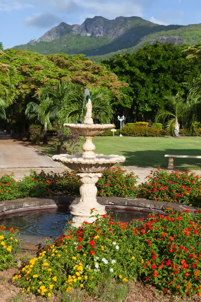 Parque tropical en el fondo de las montañas — Foto de Stock