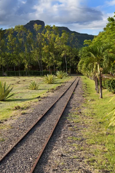 Starożytne wąskie gage railwayin tropikalny park, mauritius — Zdjęcie stockowe