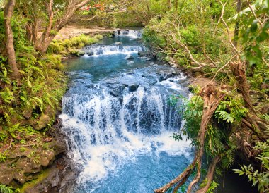 küçük nehir tropikal doğa eşikleri ile. Mauritius