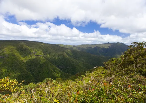 Mauritiuksen luonto. Puu ja vuoret — kuvapankkivalokuva