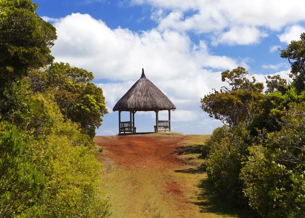 Arbor i trä, park "black river gorge". Mauritius — Stockfoto