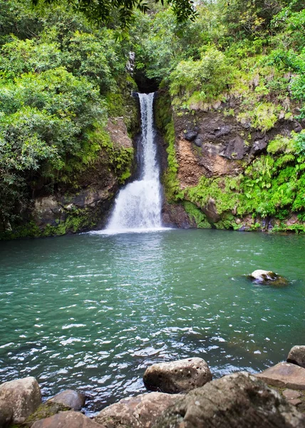 Mauritius. a "23 színek a föld valley" park inmare-aux-aiguille kis vízesés — Stock Fotó