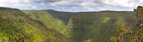 Natureza da Maurícia. Madeira e montanhas. Panorama , — Fotografia de Stock