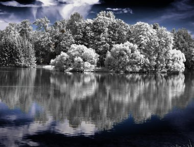 ahşap lakei, nfrared fotoğraf yansıtılır