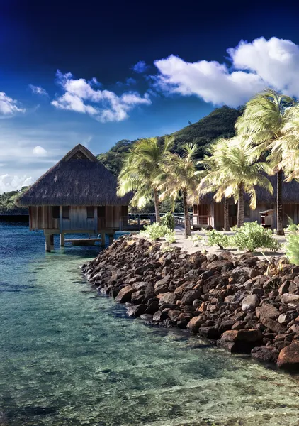 Het eiland met palmbomen en traditionele tropische hut, kruis-proces — Stockfoto