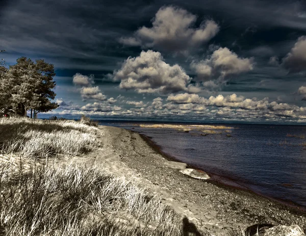 Tall över sandstranden kusten, en IR Foto — Stockfoto