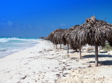 Karayip Denizi ve şemsiye kumsallar üzerinde cayo largo's Island, Küba