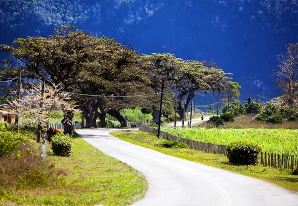 The road in Vinales Valley, Cuba — Stock Photo, Image