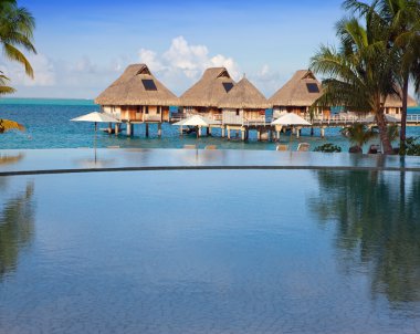 Hurma ağaçları, salkımları sarkmış muz ağaçları,.