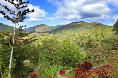 tropikal doğa. Küba