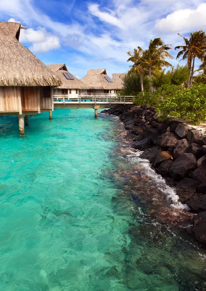 Costa con palmeras y casitas en el agua. — Foto de Stock