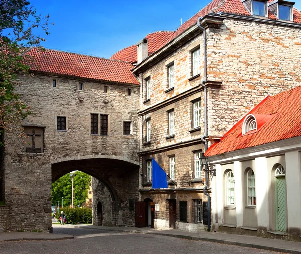 Old city in Tallinn, Estonia. Big Sea gat — Stock Photo, Image