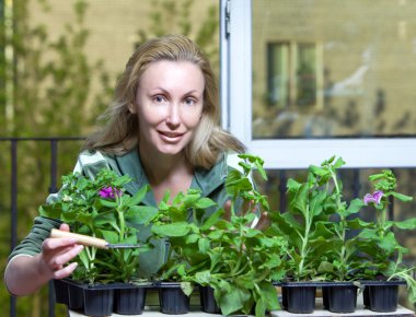 genç kadın ve Petunya çiçek fide ile kutu