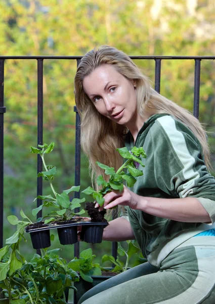 Die junge Frau auf dem Balkon landet Petunienkeimling — Stockfoto