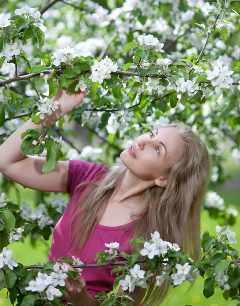 Giovane donna attraente in piedi vicino al melo in fiore — Foto Stock