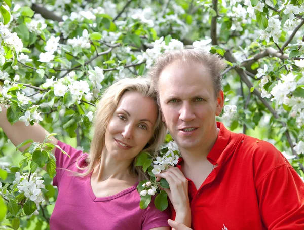 Lycklig man och kvinnan i blommande äppelträd — Stockfoto