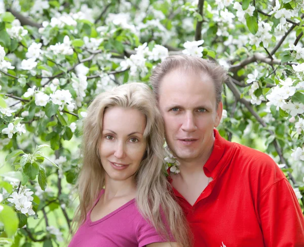 Happy man and the woman in blossoming apple-tree — Stock Photo, Image