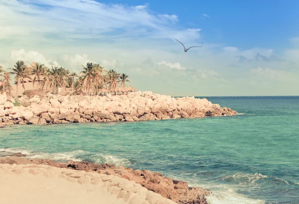 Камень с пальмами на берегу океана, с ретро-эффектом — стоковое фото