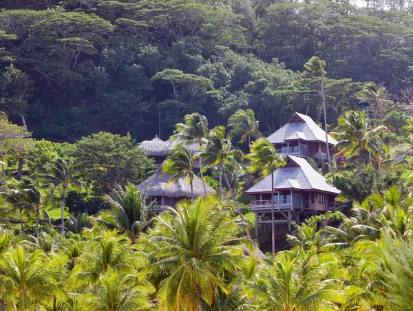 Declive de colina em uma floresta tropical e cabanas de madeira esquecidas — Fotografia de Stock