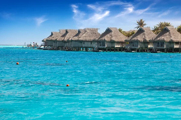 Casas sobre a água do mar tranquila transparente e uma palmeira — Fotografia de Stock