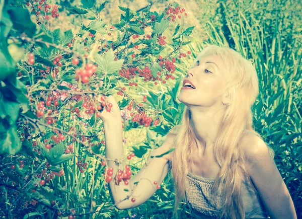 The young beautiful girl near to a bush of a red currant.,with a retro effect — Stock Photo, Image