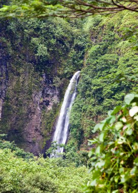 Tahiti. Tropikal doğa
