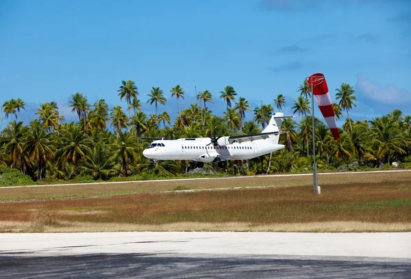 椰子の木 々の間の着陸帯の上に着陸飛行機 — ストック写真