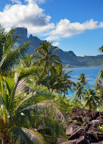 Лазурная лагуна острова Борабора, Полинезия. Горы, море, пальмы — стоковое фото