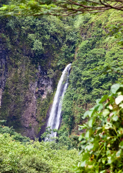 Tahiti. Trópusi jellegű — Stock Fotó