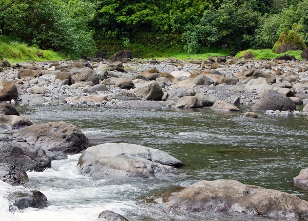 Tahiti. dağ Nehri — Stok fotoğraf