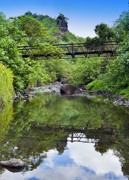 タヒチだ。山の中の川を渡る橋. — ストック写真