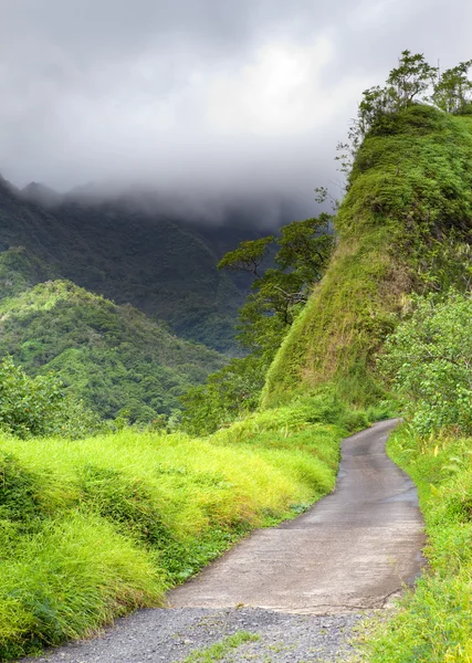 Tahiti. Polinesia. Nuvole su un paesaggio montano — Foto Stock