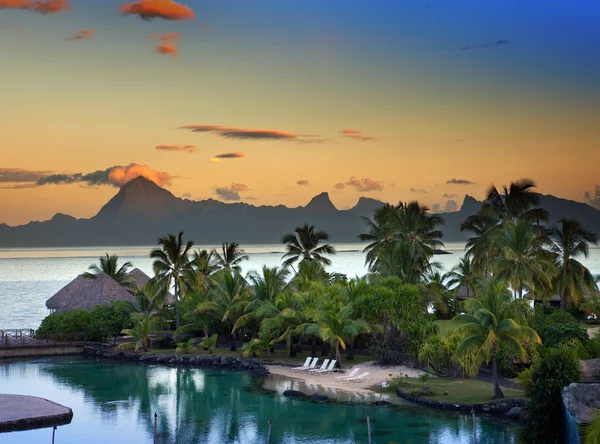 Palm bomen zand van een zonsondergang over de zee en de berg — Stockfoto
