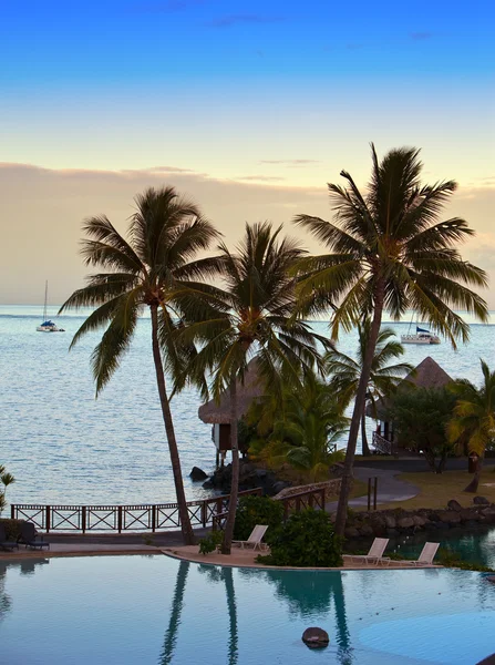 Palm trees and a sunset over the sea — Stock Photo, Image