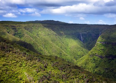 Mauritius 'un doğası. Ahşap ve dağlar