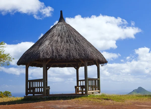 Arbor in het hout, park "black river gorge". Mauritius — Stockfoto