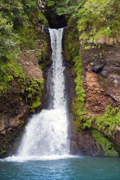 Mauritius. Kleine Wasserfälle im Park "Tal der 23 Farben der Erde" inmare-aux-aiguilles — Stockfoto
