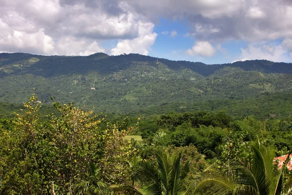 Ямайка. тропічної природи — стокове фото