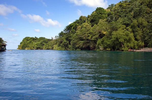 Jamaica. Laguna marina y vegetación tropical — Foto de Stock