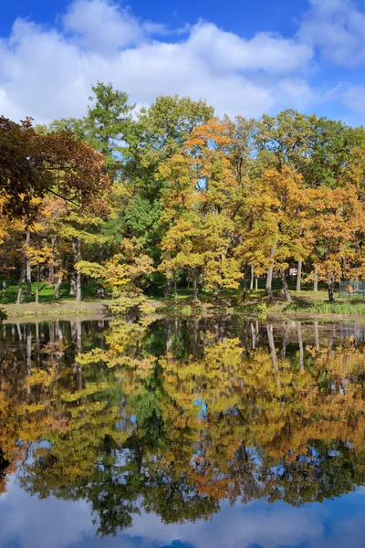 Яркий осенний лес отражается в озере — стоковое фото