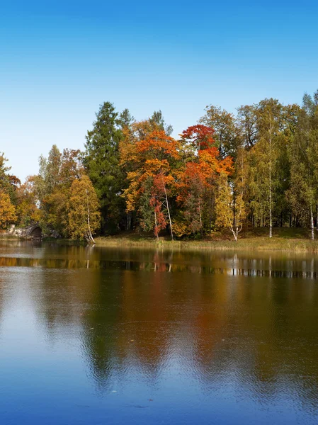 Autumn tree with bright foliage is reflected in the lake — Stock Photo, Image