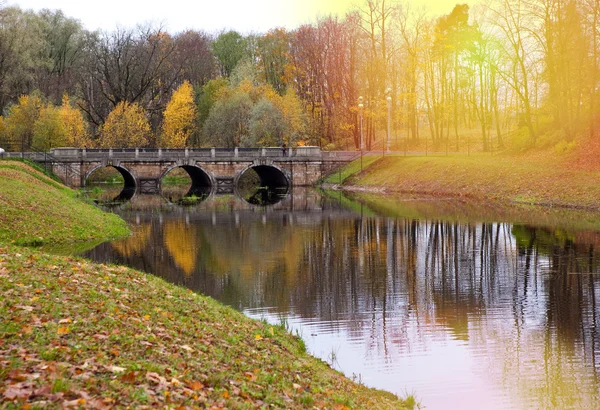 Sonbahar park nehir üzerinde köprü — Stok fotoğraf