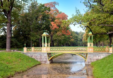 kanal kıyısında sonbahar ağaçlar