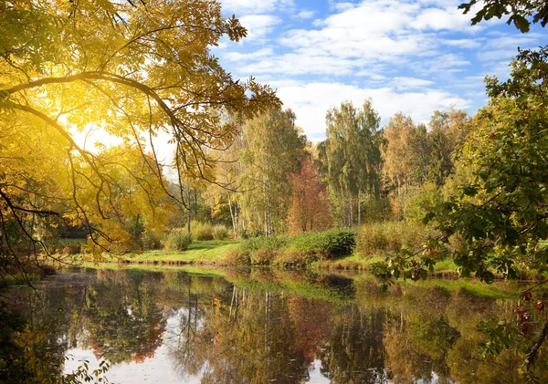 Il luminoso bosco autunnale si riflette nel lago — Foto Stock