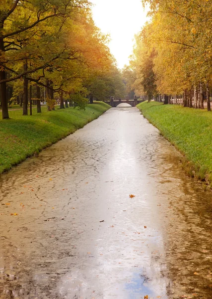 Kanal kıyısında sonbahar ağaçlar — Stok fotoğraf