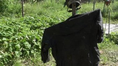 Korkuluk. Korkuluk bahçede duruyor ve kuşları kaçırıyor..